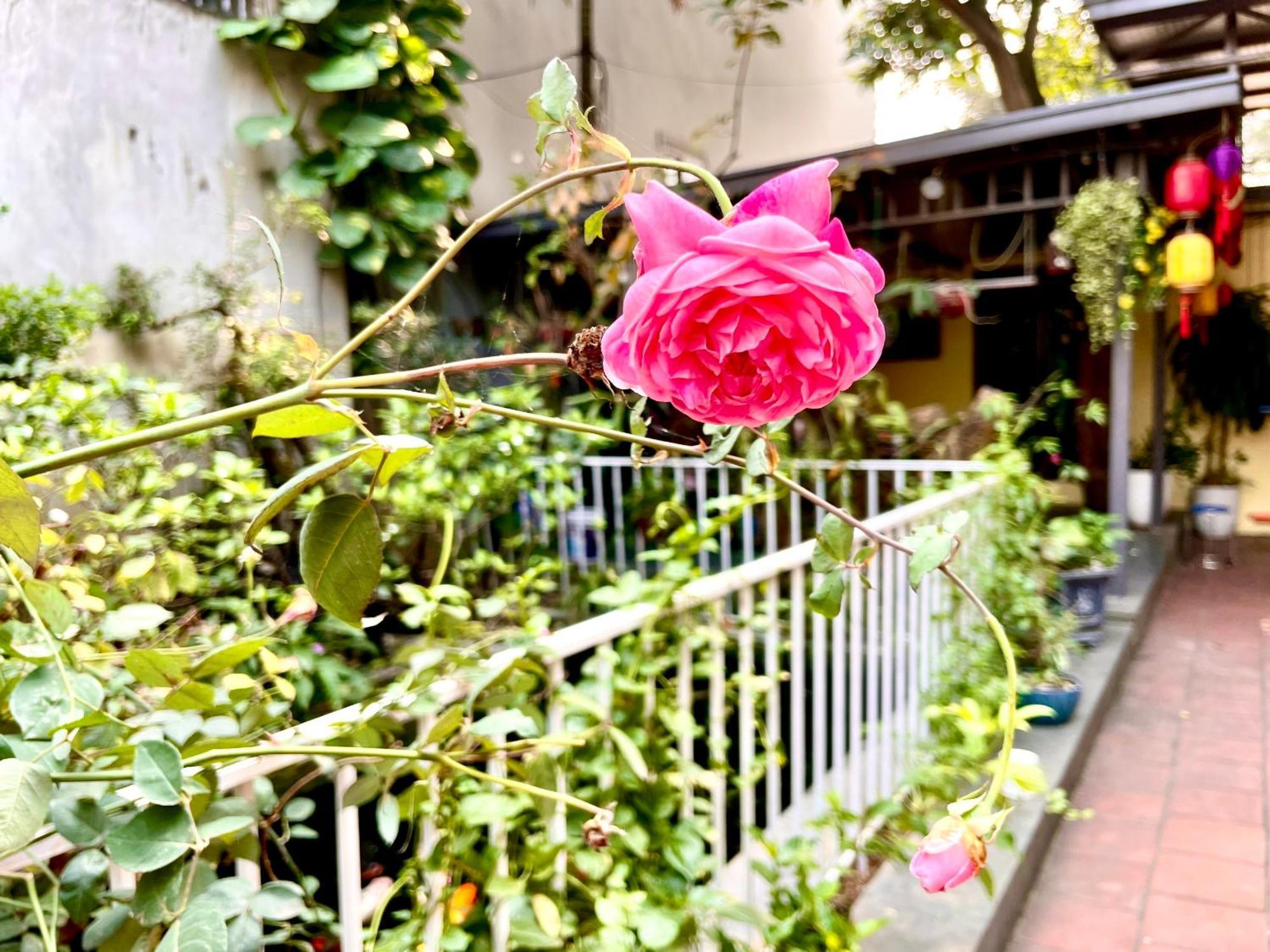 Lee Homestay Hanoi Bagian luar foto