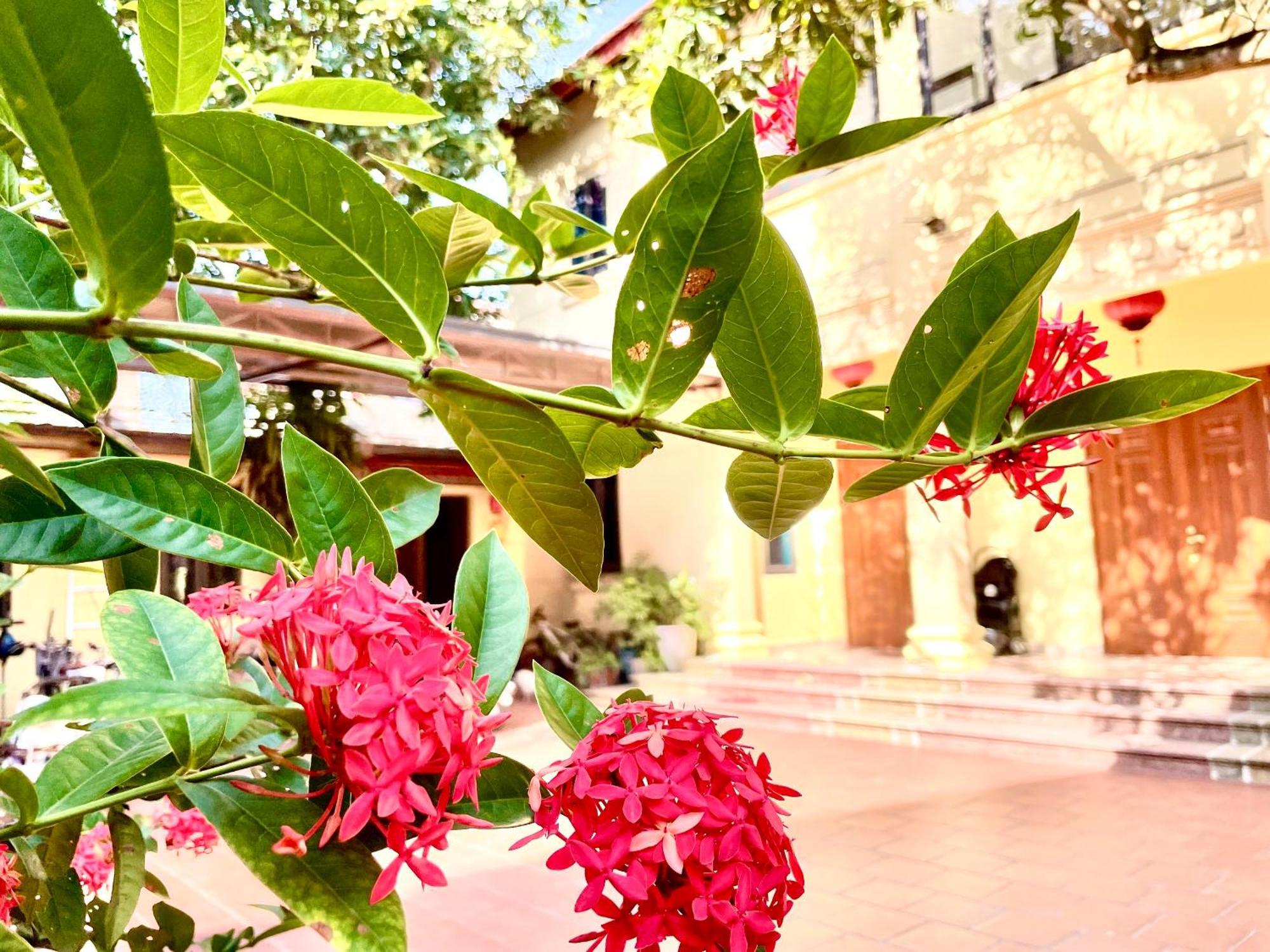 Lee Homestay Hanoi Bagian luar foto